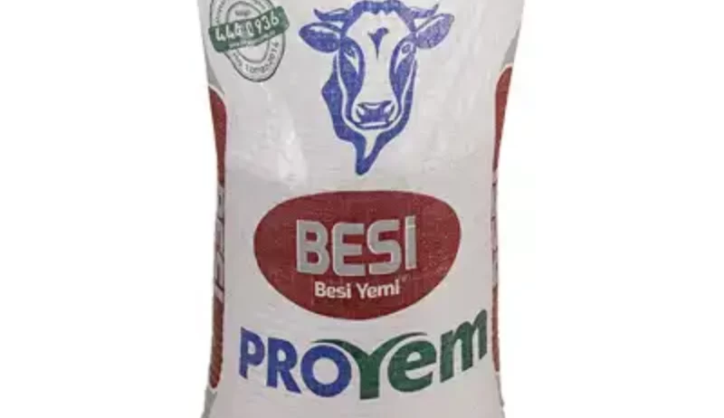 Orta dereceli besi performansı istenen sığırlarda kullanılır. Süratli canlı ağırlık artışı için kuru madde esasına göre en az % 15 ve en fazla % 20 oranında kaba yem veriniz. Canlı ağırlık 350 kg. Üzerine çıktığında tahıl ilavesi ile kullanılması önerilir. FAYDALARI Tahıl kırmaları ile yoğun bir şekilde kullanıldığında besi sığırı kesim olgunluğuna çabuk ulaşır.