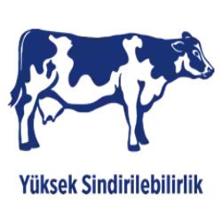 ikon-sindirilebilirlik