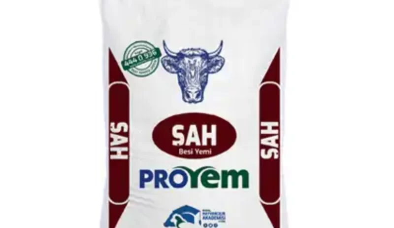 Süt veya mamadan kesilmiş besi hayvanlarına 350 kg canlı ağırlığa ulaşana kadar verilir. Besi başlangıcında yüksek gelişim sağlar.